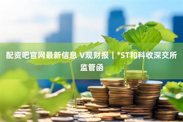 配资吧官网最新信息 V观财报｜*ST和科收深交所监管函